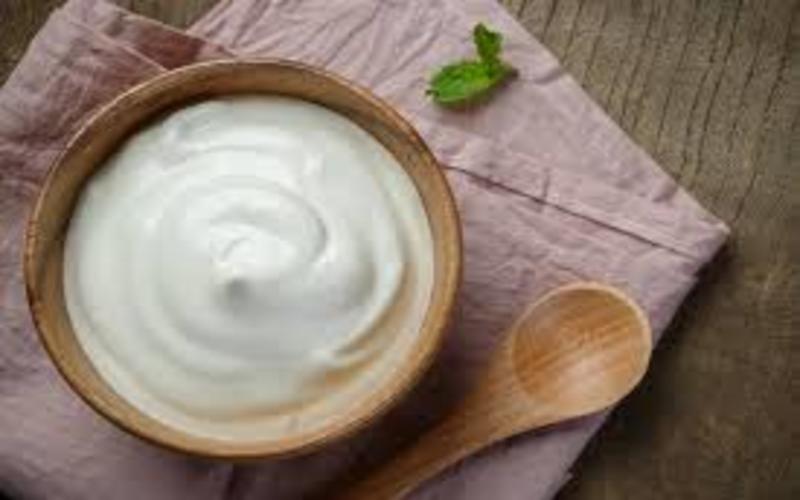 i2i News Trivandrum,foodnfit, curd, i2inews
