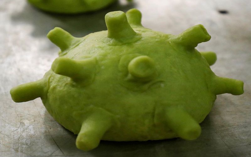 virus Burger