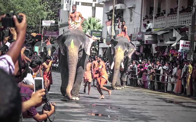 i2i News Trivandrum,religion,guruvayoor temple,elephant race,i2inews